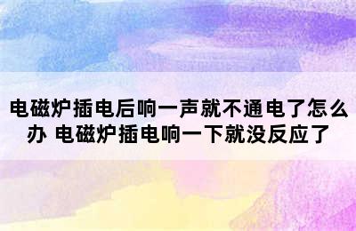 电磁炉插电后响一声就不通电了怎么办 电磁炉插电响一下就没反应了